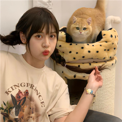 保山伴游女生星晓莉的资料
